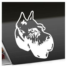 Giant schnauzer hund gebraucht kaufen  Leipzig