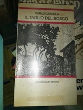 Libro libro taglio usato  Breno