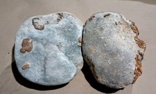 Real dinosaur eggs. for sale  Apache Junction