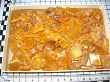 Pliocene amber africa for sale  WAKEFIELD
