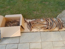 Baumrinde deko nussbaum gebraucht kaufen  Deggendorf