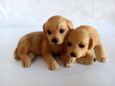 Dogs labrador puppies for sale  BEVERLEY