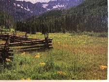 Jigsaw puzzle 500 for sale  Indianola