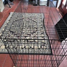 Dog crate kennel for sale  Kissimmee