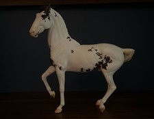Breyer marwari web for sale  Evans