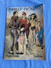 Picasso kunstdrucke posterbook gebraucht kaufen  Marburg