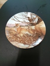 big cat plates for sale  TAMWORTH