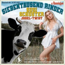 Susi schuster siebentausend gebraucht kaufen  Leipzig