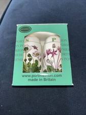Portmeirion salt pepper for sale  CHATHAM