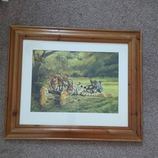 Wildlife big cat for sale  ROMFORD