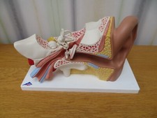mannequin parts for sale mannequin parts for sale MANCHESTER