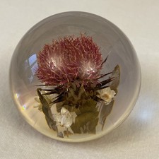 Vintage hippocampus lucite for sale Vintage hippocampus lucite for sale  WASHINGTON