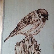 Quadro legno pirografia usato  Potenza