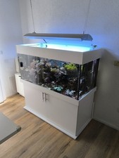 Meerwasser aquarium komplett gebraucht kaufen  Eckersdorf