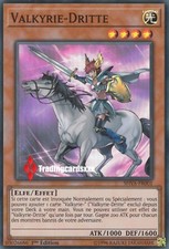 Valkyrie dritte shva d'occasion  Argenteuil