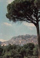 Cartolina morcone panorama usato  Milano