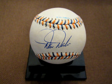 Darren daulton phladephia for sale  Satellite Beach