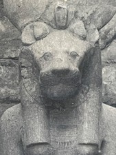 Goddess sekhmet statue for sale  CASTLE DOUGLAS