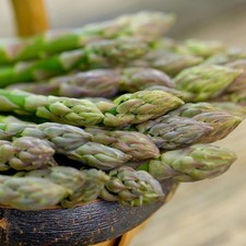 Asparagus root crowns for sale  SPALDING