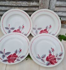 4anciennes assiettes creuses d'occasion  Le Poinçonnet