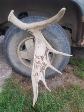 big shed for sale big shed for sale Walhalla