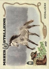 Andalusian card buy for sale  Sunnyvale