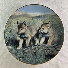 Pals plate nature for sale  Vergas