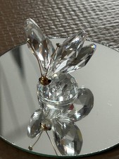 Tres beau papillon d'occasion  Villemomble