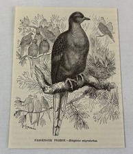 1885 book engraving for sale  Wilmington