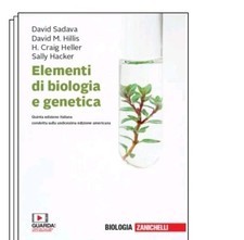 Elementi biologia genetica usato  Roma