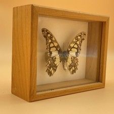 Vintage shadow box for sale  Sarasota