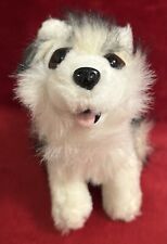 Cute husky dog for sale  WHITSTABLE