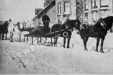 Braemar horse drawn for sale  CUPAR