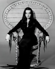 Morticia addams family for sale  Hernando