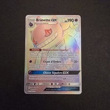 Branette rainbow 174 d'occasion  Valence