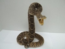 Real prairie rattlesnake for sale  Edinburg
