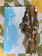 Cartolina antica avigliana usato  Cavriago