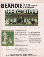 Bearded collie dog for sale  COLEFORD