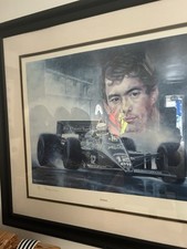 Ayrton senna first for sale  RETFORD