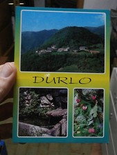 Cartolina durlo fontana usato  Italia