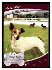 2006 jack russell for sale  Mason