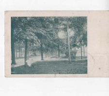 Constantine michigan 1901 d'occasion  Expédié en Belgium