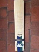 Cricket cup 1999 for sale  WHITCHURCH