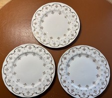 Royal sborn bone gebraucht kaufen  Bad Schwartau