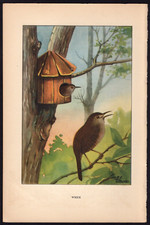1926 vintage color for sale  Spokane