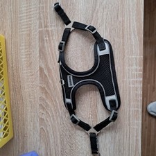 Hundegeschirr gebraucht kaufen  Melle