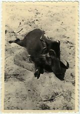 Photo ancienne vintage d'occasion  Paris XI