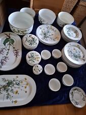 Villeroy boch botanica gebraucht kaufen Villeroy boch botanica gebraucht kaufen  Mannheim