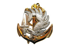 Insigne beret rpima d'occasion  Saint-Mamert-du-Gard