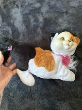 2015 kitty surprise for sale  LEICESTER
